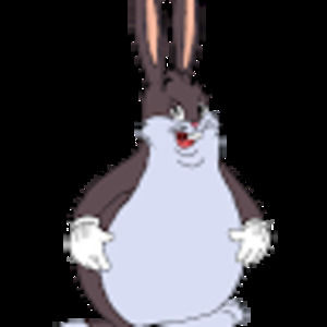 Meet your Posher, Gavin